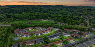 The Nelson Gallery 32