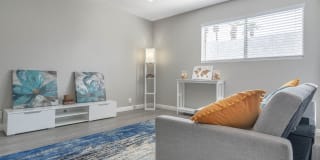 THE MODERN CACTUS Gallery 5