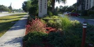 21405 Olean Blvd #333 21405 Olean Blvd #333 Gallery 1