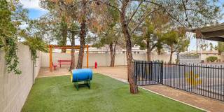 Destinations Spring Valley Age 55+ Apartment Homes Gallery 27