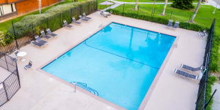 2465 Caminito Ocean Cove Gallery 34