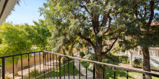 Asante Villas Gallery 16