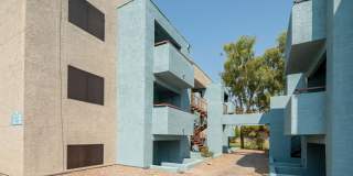 Ten/10 on Main Gallery 16