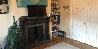 17 symphony Gallery 2