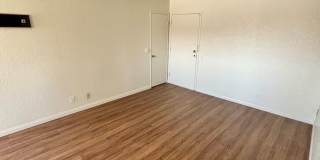 Affordable and Pet Friendly Gallery 7