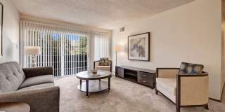 Canyon Ranch Gallery 15