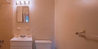 Hyde Park Heights Gallery 11