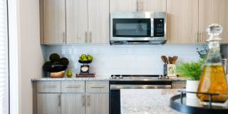 Alta Town Center Gallery 15