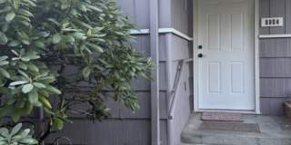 8904 Monte Cristo Dr Gallery 2