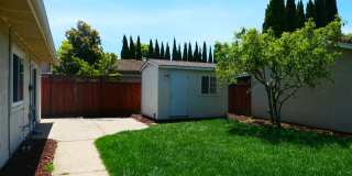 3bed/2 full bath + 1 office in the backyard. Single Family Home! 3bed/2 full bath + 1 office in the backyard. Single Family Home! Gallery 18