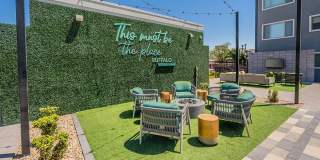 Buffalo at Desert Shores Gallery 22
