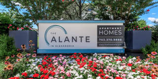 The Alante in Alexandria Gallery 17