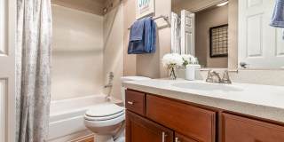 Avana Star Lake Gallery 57