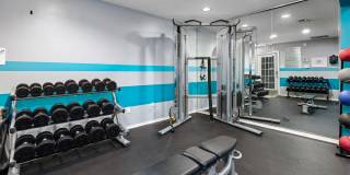 Hamilton Ridge Gallery 50