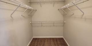 HOLLY CHASE Gallery 24