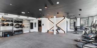 The Navigator The Navigator Gallery 18