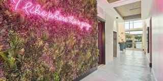 Mira Delray Gallery 48