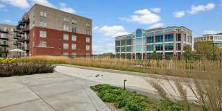 The Covington Gallery 24