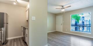 Rise Lakeside Gallery 3