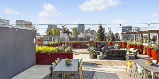 Telegraph Arts Gallery 6