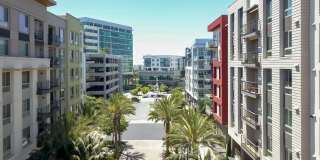 Vive on the Park Gallery 47