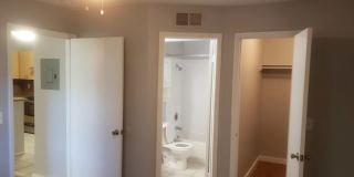4096 N Pine Island Road Gallery 8