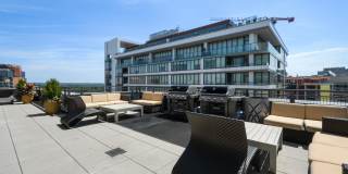 Ellis Bethesda Gallery 3