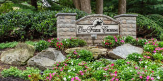 509 OLD FORGE Crossing Gallery 1