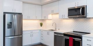 Telegraph Arts Gallery 23