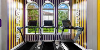 Indigo Park Gallery 21