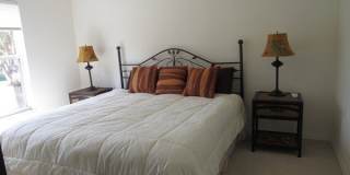 10537 Washingtonia Palm Way Gallery 19