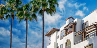The Promenade Rio Vista Gallery 74