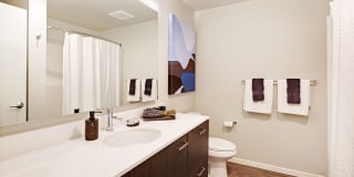 Emerson Seattle Emerson Seattle Gallery 27