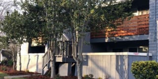 Stony Brook Gallery 6