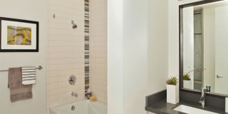 38 Dolores Gallery 34