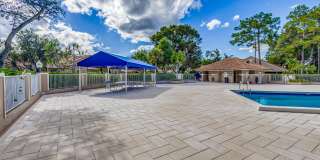 602 Sabal Palm Lane Gallery 54