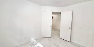 PS T 66369 Gallery 10