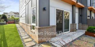 71 Lucy Street SE Gallery 40