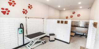 The Dylan at Grayson Gallery 46