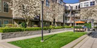 Avalon Bellevue Gallery 24