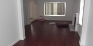 Swimming pool and spa Gallery 6