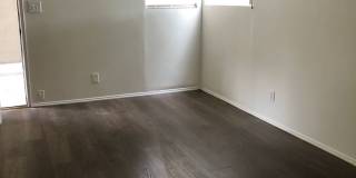 BSM Management Gallery 18