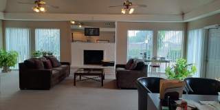 Pine Arbor Gallery 2