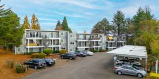 French Chateau Apartments Gallery 30