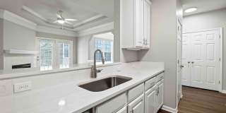 Lake Clearwater Gallery 56