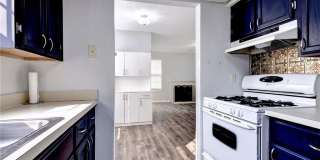 12928 Daybreak Circle Gallery 15