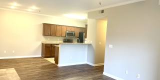 Griffin Gate Apartments Gallery 2