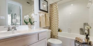 Las Palmas Gallery 40