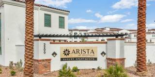 Arista at Ocotillo by Mark-Taylor Gallery 9