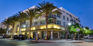 Boardwalk by Windsor Gallery 2